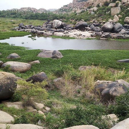 Riverside Homestay Hampi Eksteriør billede