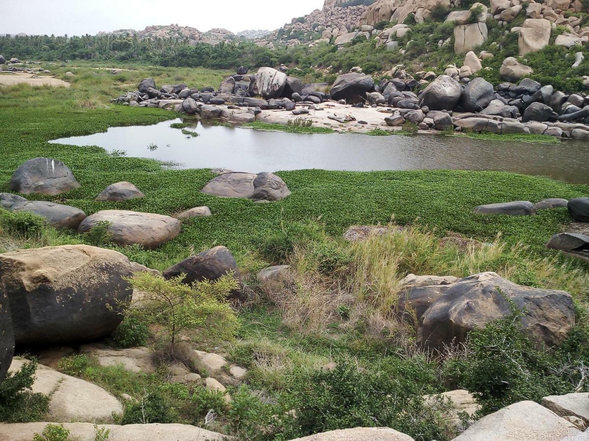 Riverside Homestay Hampi Eksteriør billede